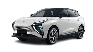 FRIDAY - Dongfeng